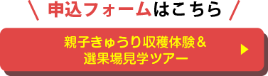 申込フォームはこちら　親子きゅうり収穫体験＆選果場見学ツアー