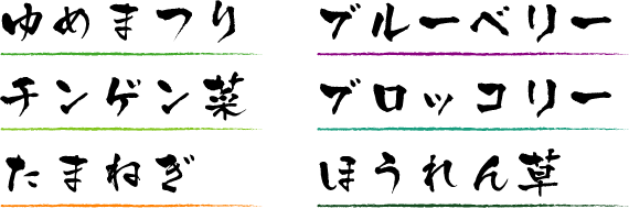 ゆめまつり　ブルーベリー　チンゲン菜　ブロッコリー　たまねぎ　ほうれん草