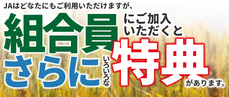 JAはどなたにもご利用いただけますが、組合員にご加入いただくとさらにいろいろな特典があります。